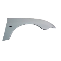 گلگیر جلو راست 206