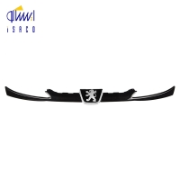 جلو پنجره 206 مشکی