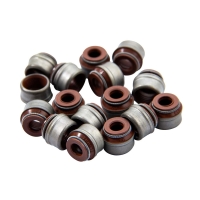 کاسه نمد ساق سوپاپ 206 تیپ 5